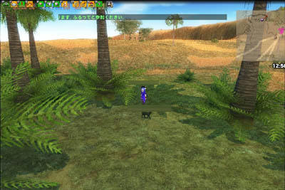 mabinogi_2009_12_03_005.jpg