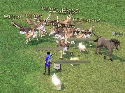 mabinogi_2009_12_02_003.jpg