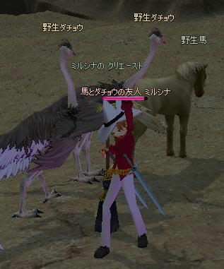 mabinogi_2009_12_20_005.jpg