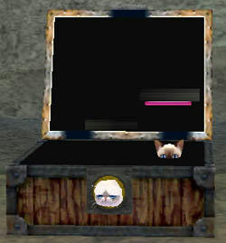 mabinogi_2010_01_05_003.jpg