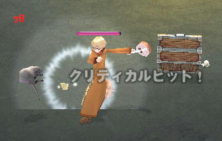 mabinogi_2010_01_21_001.jpg