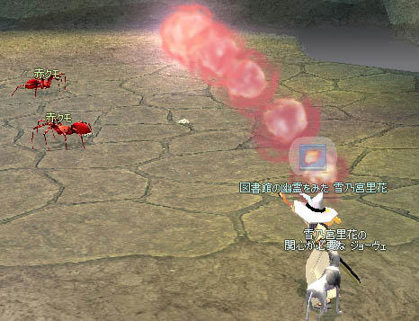 mabinogi_2010_07_22_001.jpg