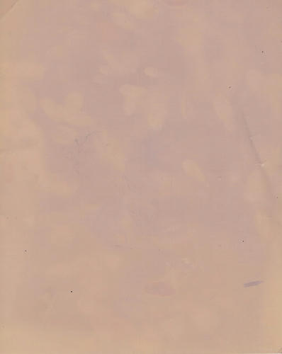 d834d0b6.jpg