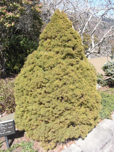 hakone4.jpg
