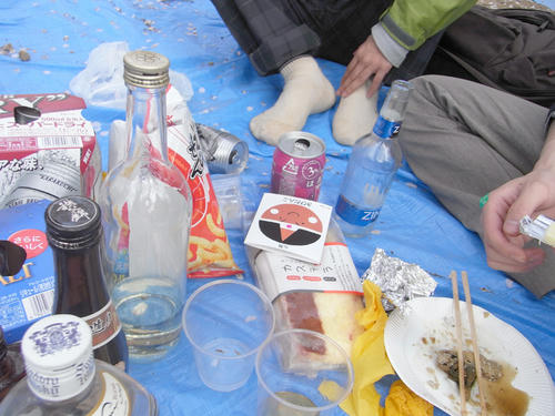 hanami01.jpg