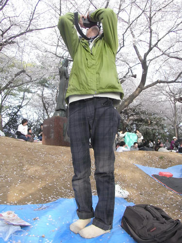 hanami02.jpg