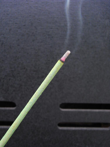 oto01.jpg