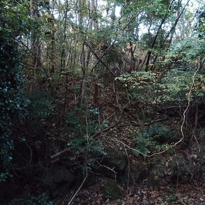 静岡の別荘地（販売終了）