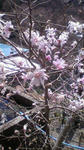 2011033111170000.jpg