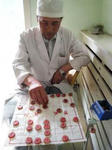 doctor-xiangqi.jpg