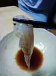 20070820200706.jpg