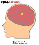 684d3385.gif