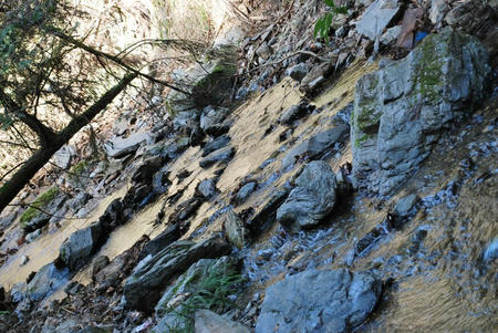 DSC_0543.jpg