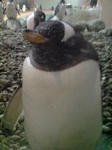 DSC00291.JPG