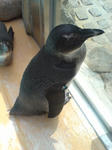 DSC00295.JPG