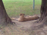 DSC00305.JPG