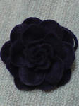DSC00421.JPG