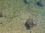 DSC00506.JPG
