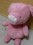 DSC00667.JPG