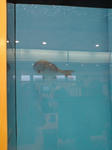 DSC00688.JPG