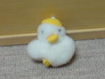 DSC00694.JPG