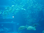 P5040115.JPG
