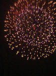 DSC00270.JPG