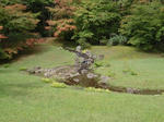 P9150200.JPG