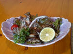 DSC00363.JPG