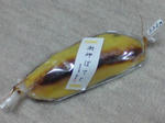DSC00431.JPG