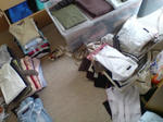 DSC00763.JPG
