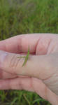 DSC00785.JPG