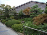 P9210375.JPG