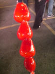 DSC01041.JPG