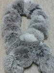 DSC01197.JPG