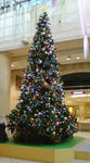 DSC01190.JPG