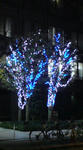 DSC01189.JPG
