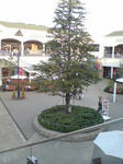 DSC01275.JPG