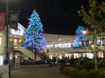 DSC01277.JPG