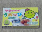 DSC01377.JPG