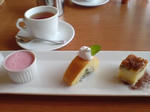 DSC01381.JPG