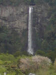 DSC01386.JPG