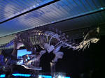 DSC01613.JPG