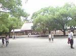 DSC01457.JPG