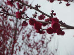 P1010810.JPG