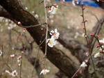 P1010827.JPG