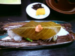 20110320120818.jpg