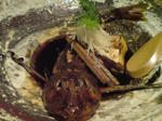DSC02092.JPG