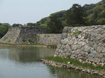 P5040915.JPG