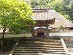 P5060990.JPG